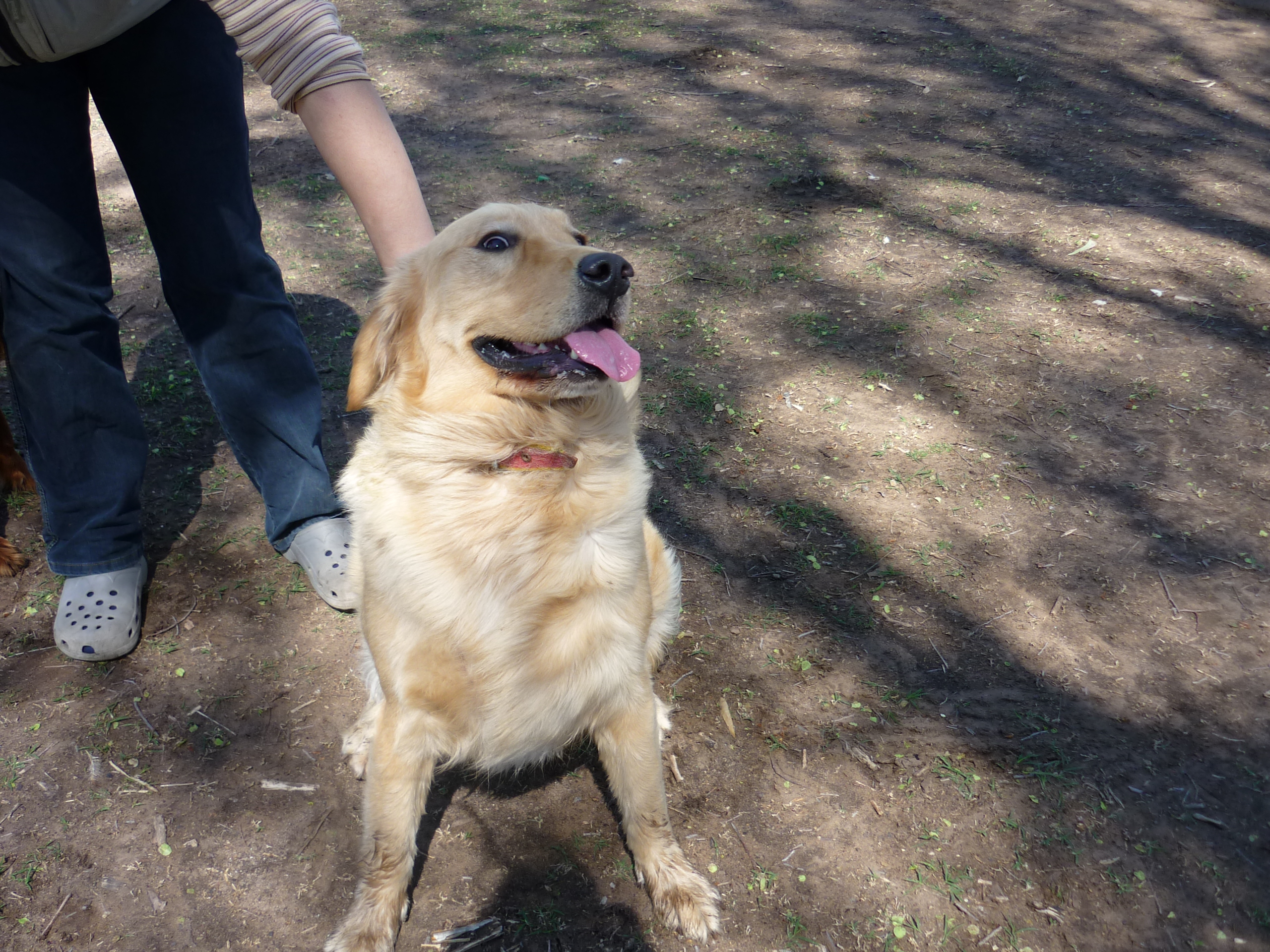 fotos/2009-10-11 - Asado campo facha/P1000264.JPG
